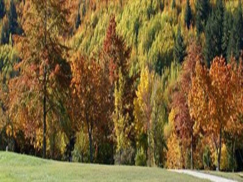 Hampshire Holiday Parks - Ароутаун Екстериор снимка
